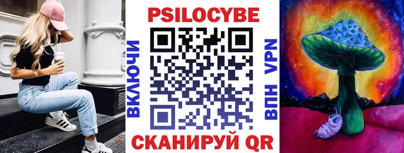 Псилоцибиновые грибы Psilocybine cubensis  Дмитров 