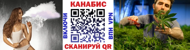 Каннабис сатива  Дмитров 
